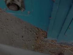 옥수수 건조기 공장