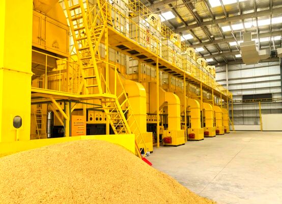 좋은 가격 100 톤은 마르는 모든 방향 옥수수 드라이어 기계를 낟알로 만듭니다 온라인으로