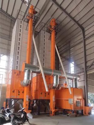 좋은 가격 15대 톤 전자동화 연속적 스팀 날것 쌀 드라이어 온라인으로